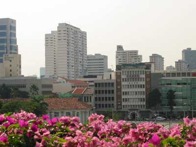 Orchid city Singapore